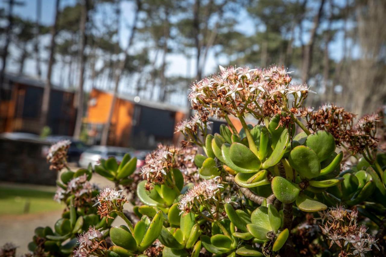 B2 - Nature, & River Holiday home
