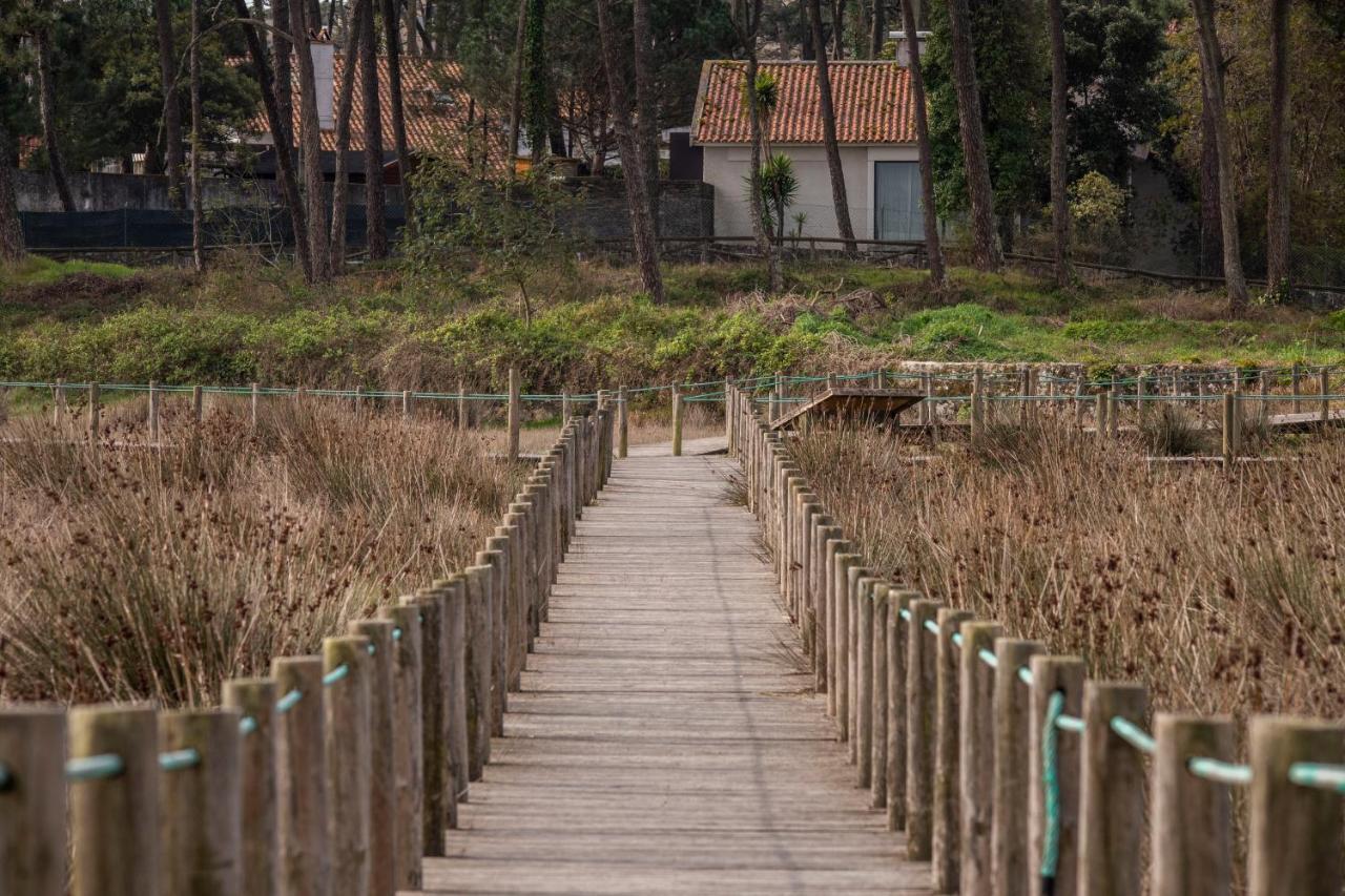 Holiday home B2 - Nature, & River Ofir